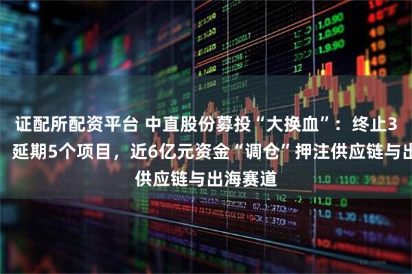 证配所配资平台 中直股份募投“大换血”：终止3个项目，延期5个项目，近6亿元资金“调仓”押注供应链与出海赛道